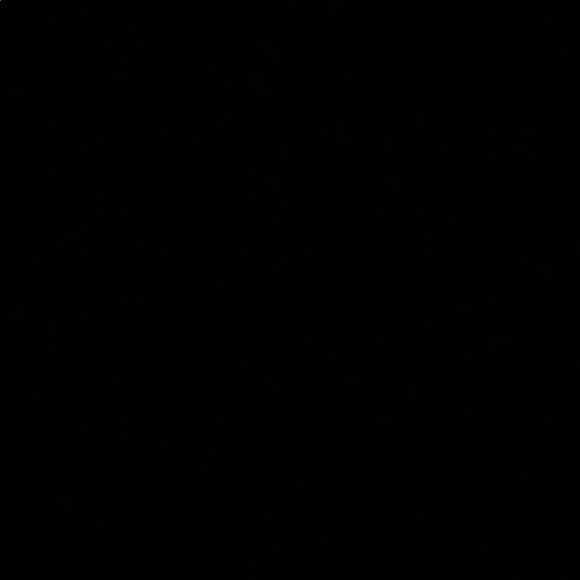 Meet your Posher, Connor - Picture 1 of 1